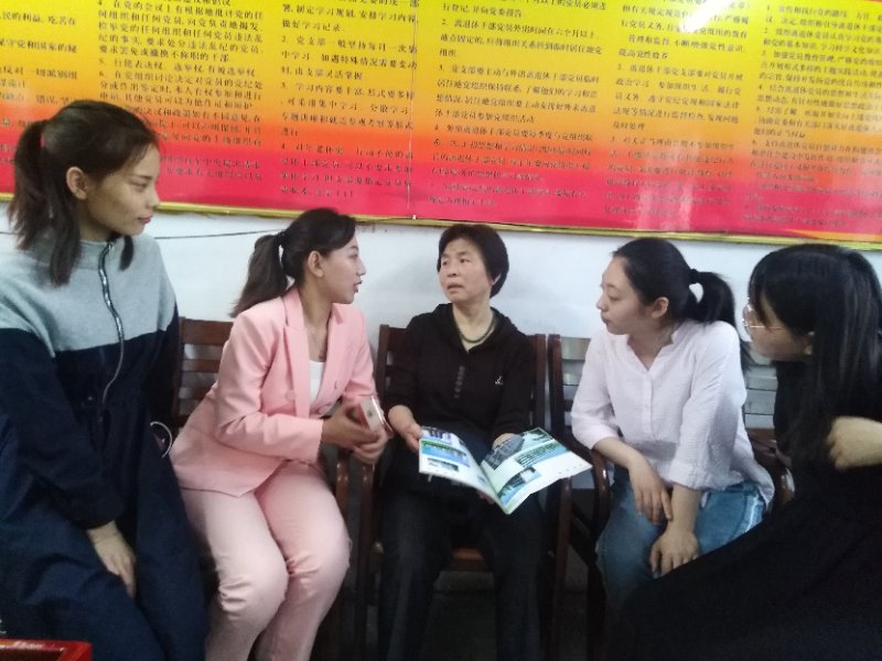 百年不老松