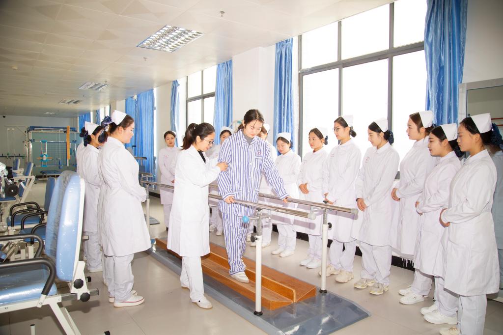 河南省招生代码