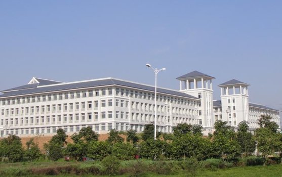 积极推动教学改革